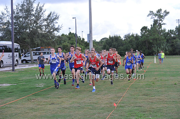 UTL2016_MS_033