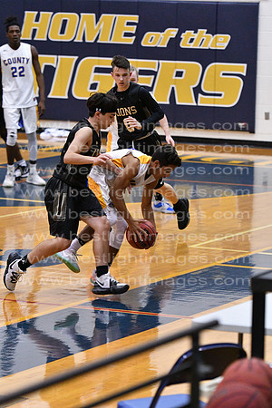 MCHSJVBB011120_025