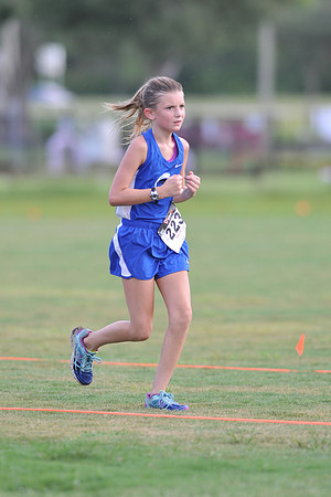 UTL2016_MS_004