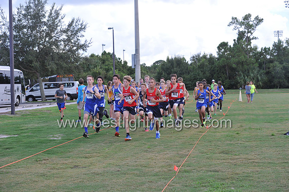 UTL2016_MS_031