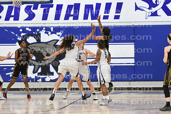 MCHSLTVARBB012317_080