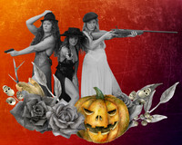 gunscompositee