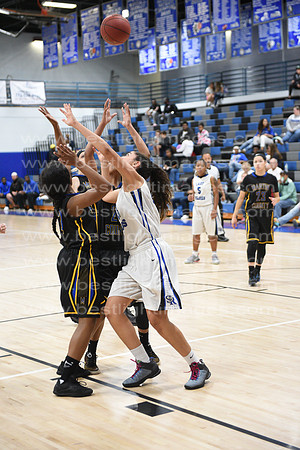MCHSLTVARBB012317_119