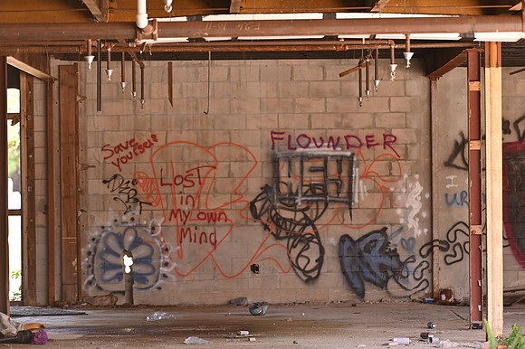 Z62_3628