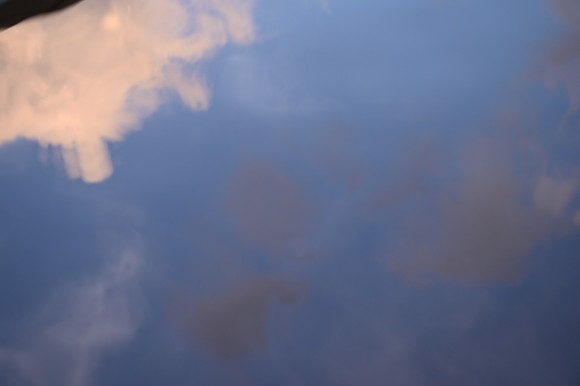 Z62_3317