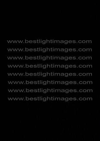 BL3_0257