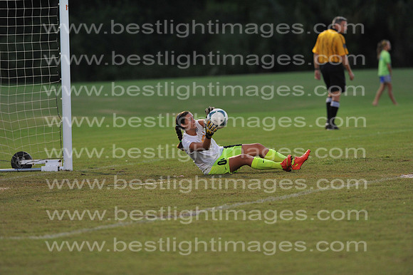 MCHSLTSOC102914_008