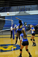 MCHSFVB082217_016