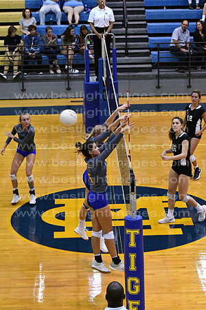 MCHSVB082619_266