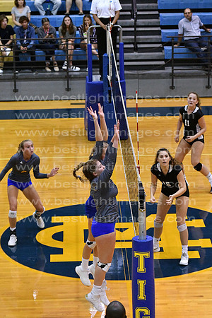 MCHSVB082619_254