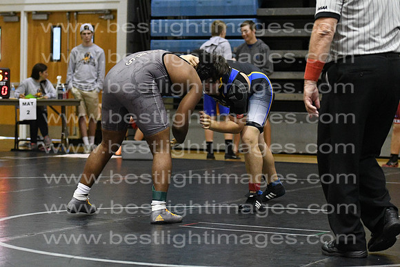 MCHSWRES012117_101
