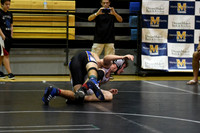 MCHSWRES012117_001