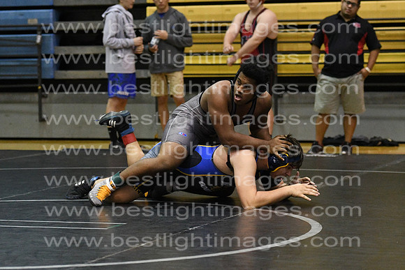 MCHSWRES012117_105