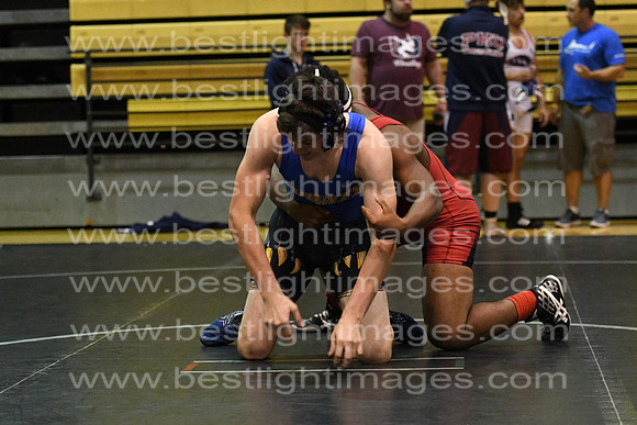 MCHSWRES012117_082