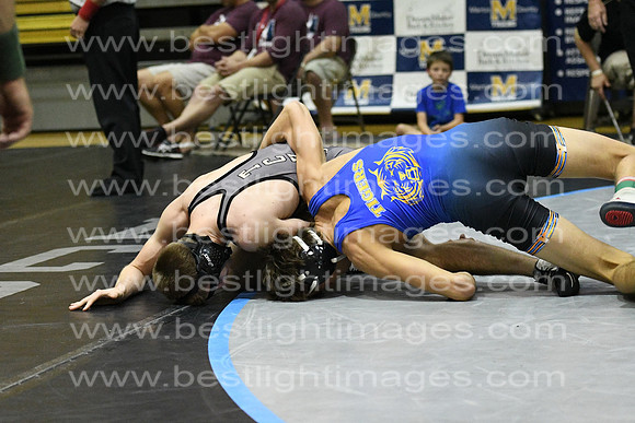 MCHSWRES012117_043