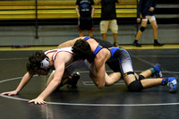 MCHSWRES012117_012
