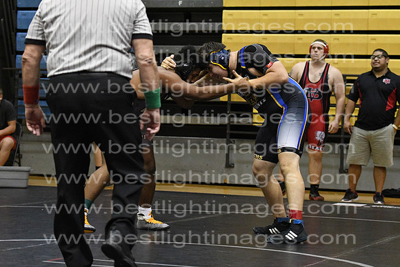 MCHSWRES012117_100