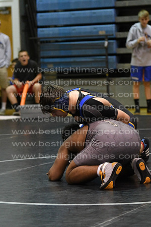 MCHSWRES012117_103