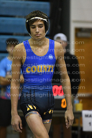 MCHSWRES012117_034
