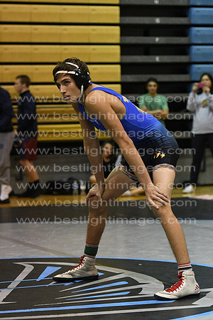 MCHSWRES012117_036