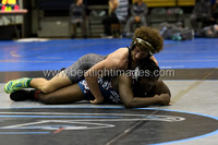 MCHSWRES012017_004