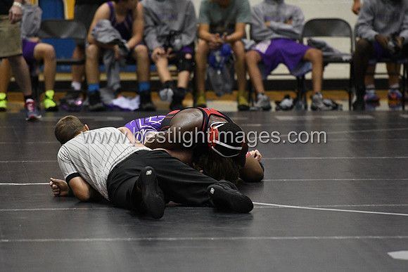 MCHSWRES012017_002