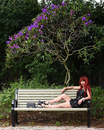 BL4_1120crop