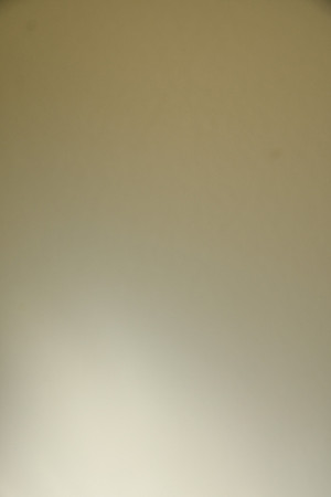 BL4_7559