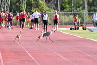 MCHSTrack032718_001