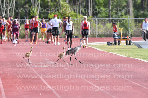 MCHSTrack032718_001