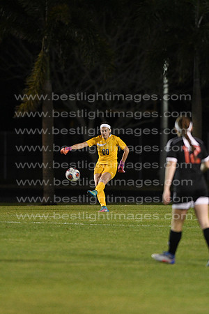 MCHSLTSOC013117_034