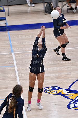 MCHSVB100120_110