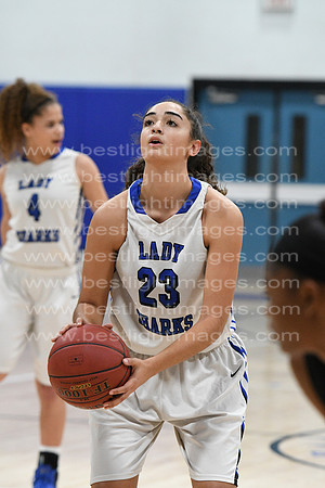 MCHSLTVARBB012317_072