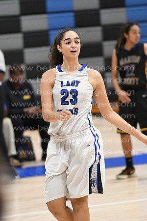 MCHSLTVARBB012317_242