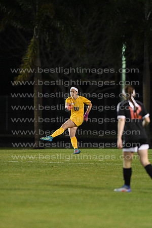 MCHSLTSOC013117_035