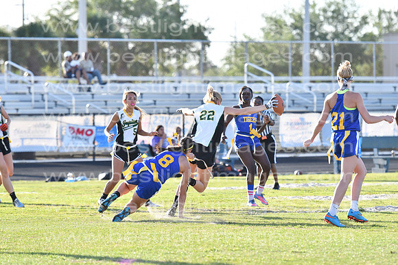 MCHSLTFF042017_153