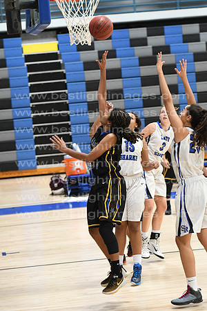 MCHSLTVARBB012317_271