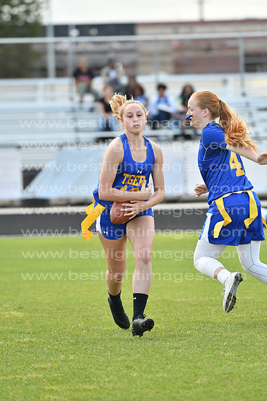 MCHSFF030817_006