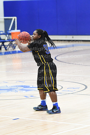 MCHSLTVARBB012317_309