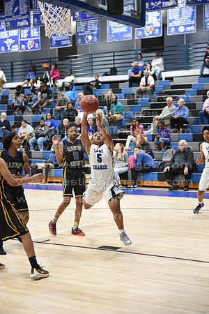 MCHSLTVARBB012317_190