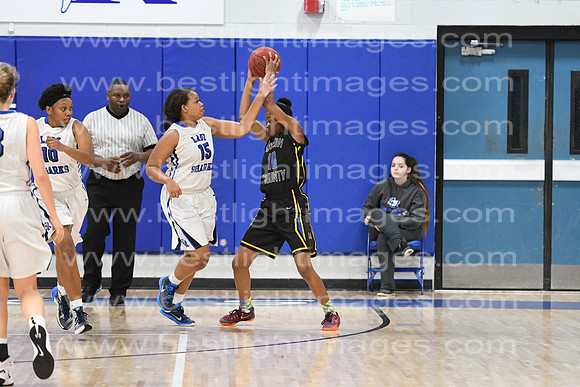 MCHSLTVARBB012317_402
