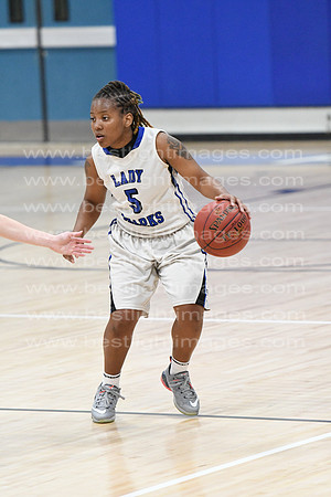 MCHSLTVARBB012317_209