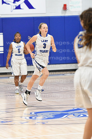 MCHSLTVARBB012317_038