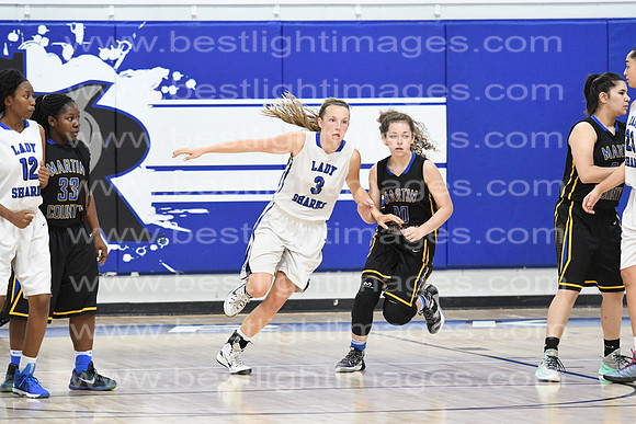 MCHSLTVARBB012317_413