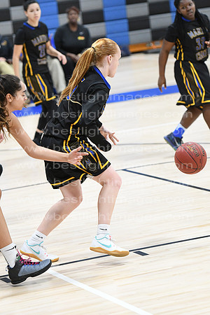 MCHSLTVARBB012317_315