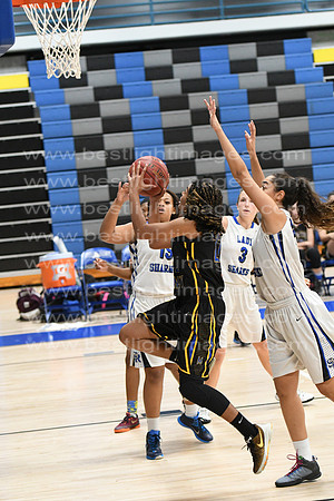 MCHSLTVARBB012317_269