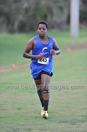 UTL2016_MS_086
