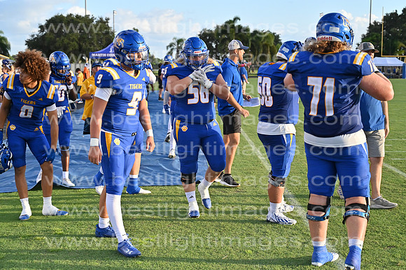 MCHSFB0825823_0346