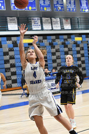 MCHSLTVARBB012317_133