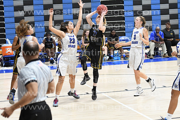 MCHSLTVARBB012317_251